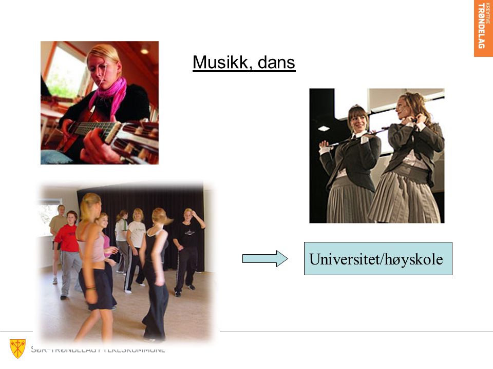 Musikk, dans Universitet/høyskole