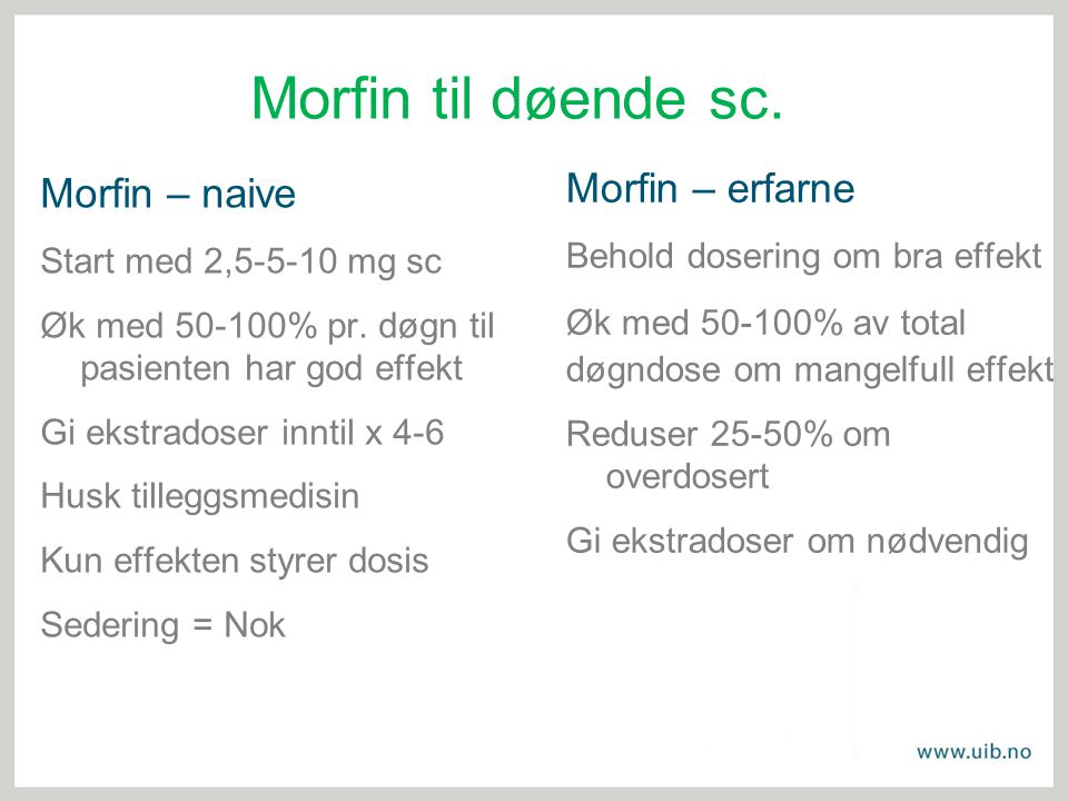 Morfin til døende sc. Morfin – erfarne Morfin – naive