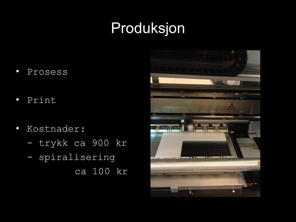 Produksjon Prosess Print Kostnader: - trykk ca 900 kr - spiralisering