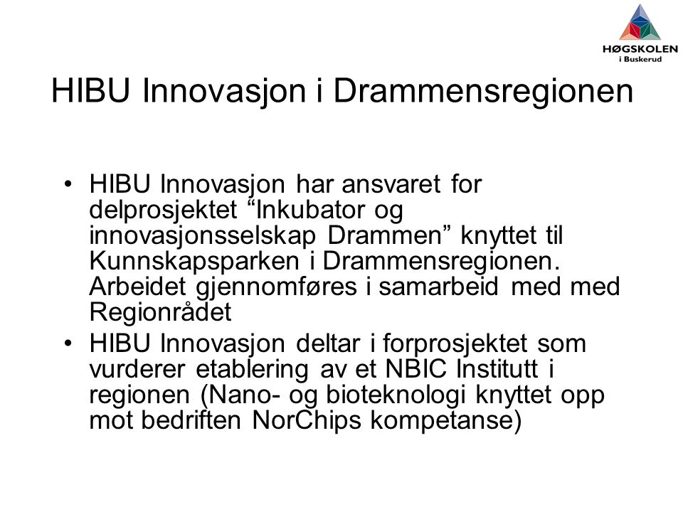 HIBU Innovasjon i Drammensregionen