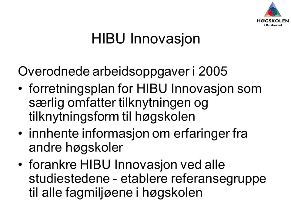 HIBU Innovasjon Overodnede arbeidsoppgaver i 2005