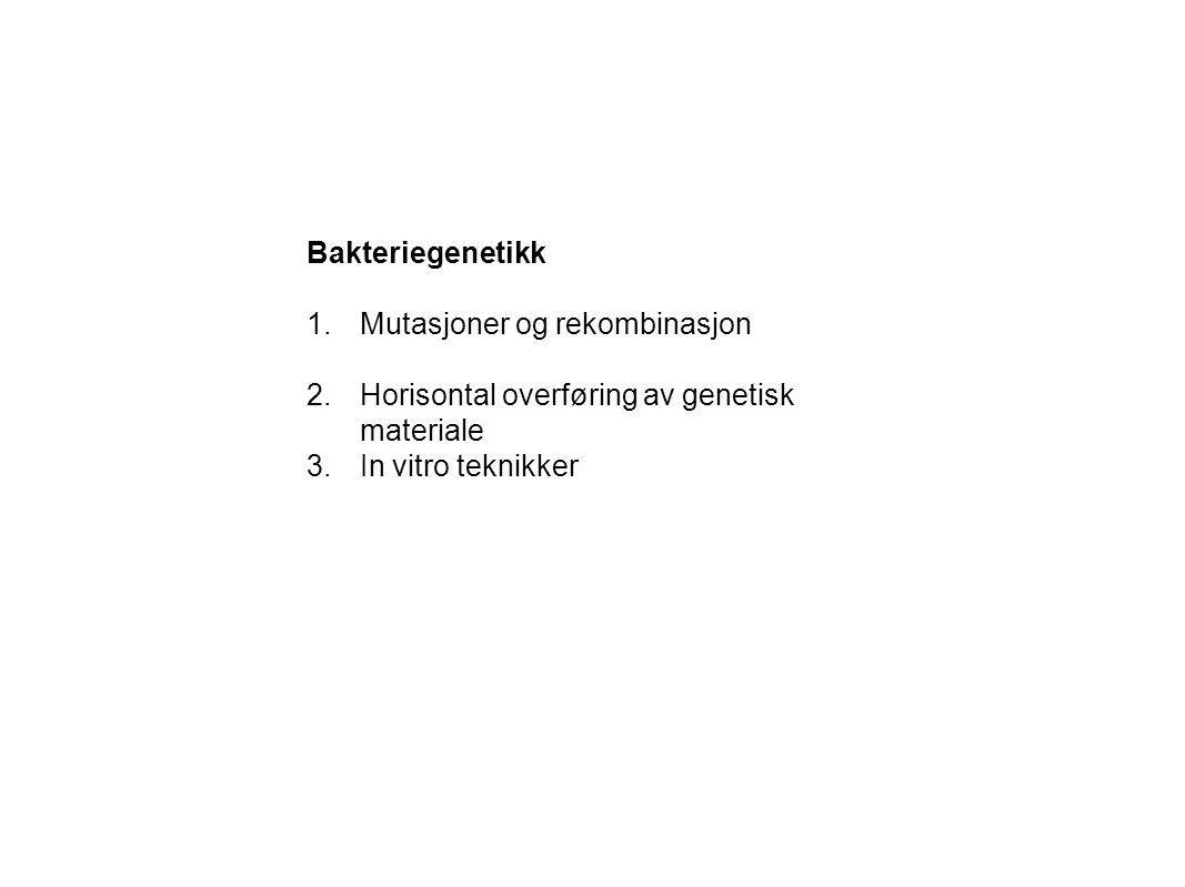 Bakteriegenetikk Mutasjoner og rekombinasjon. Horisontal overføring av genetisk materiale.