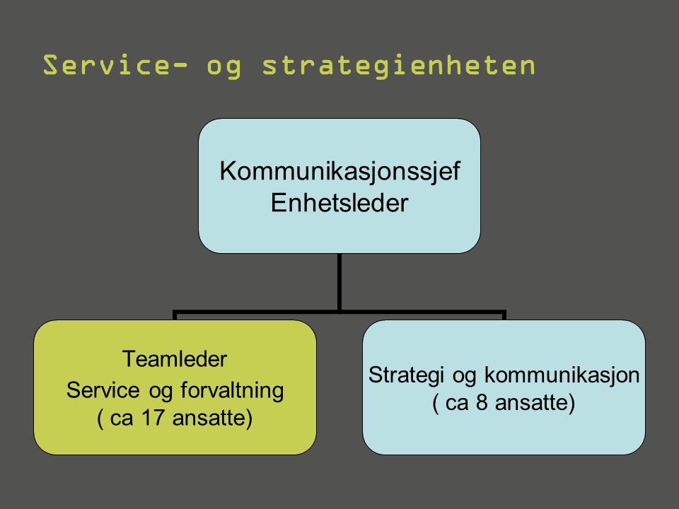 Service- og strategienheten