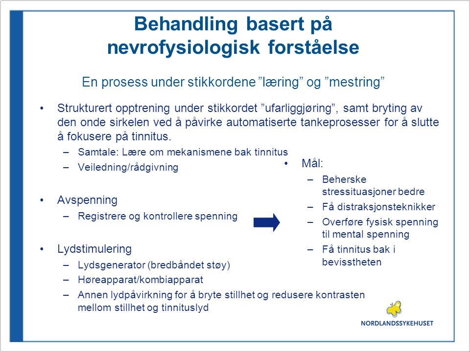 Behandling basert på nevrofysiologisk forståelse En prosess under stikkordene læring og mestring