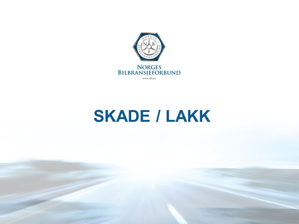 SKADE / LAKK