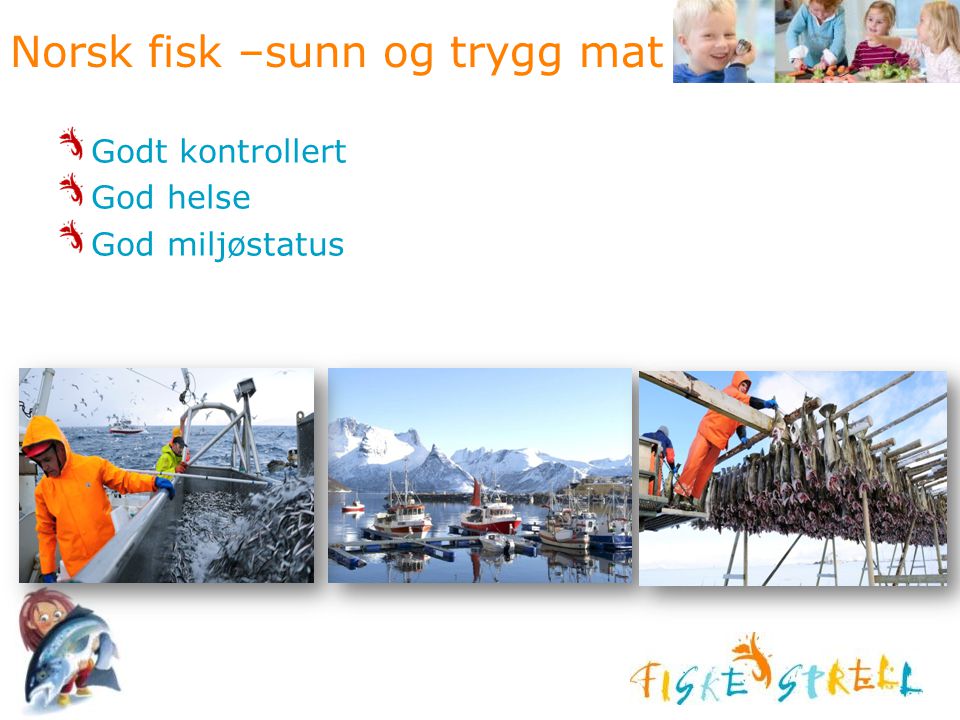 Norsk fisk –sunn og trygg mat