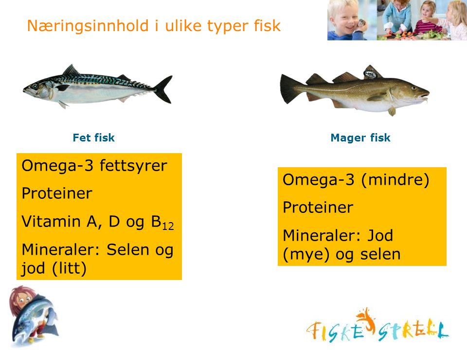 Næringsinnhold i ulike typer fisk