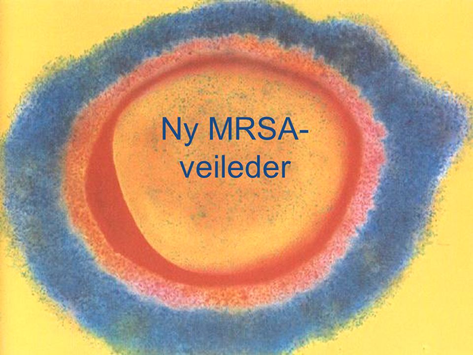 Ny MRSA-veileder