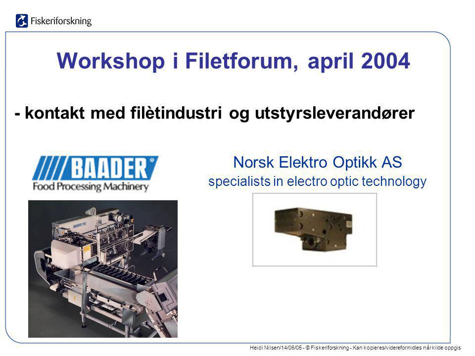Workshop i Filetforum, april 2004