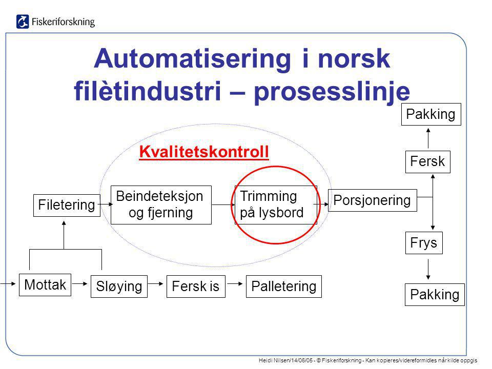 Automatisering i norsk filètindustri – prosesslinje