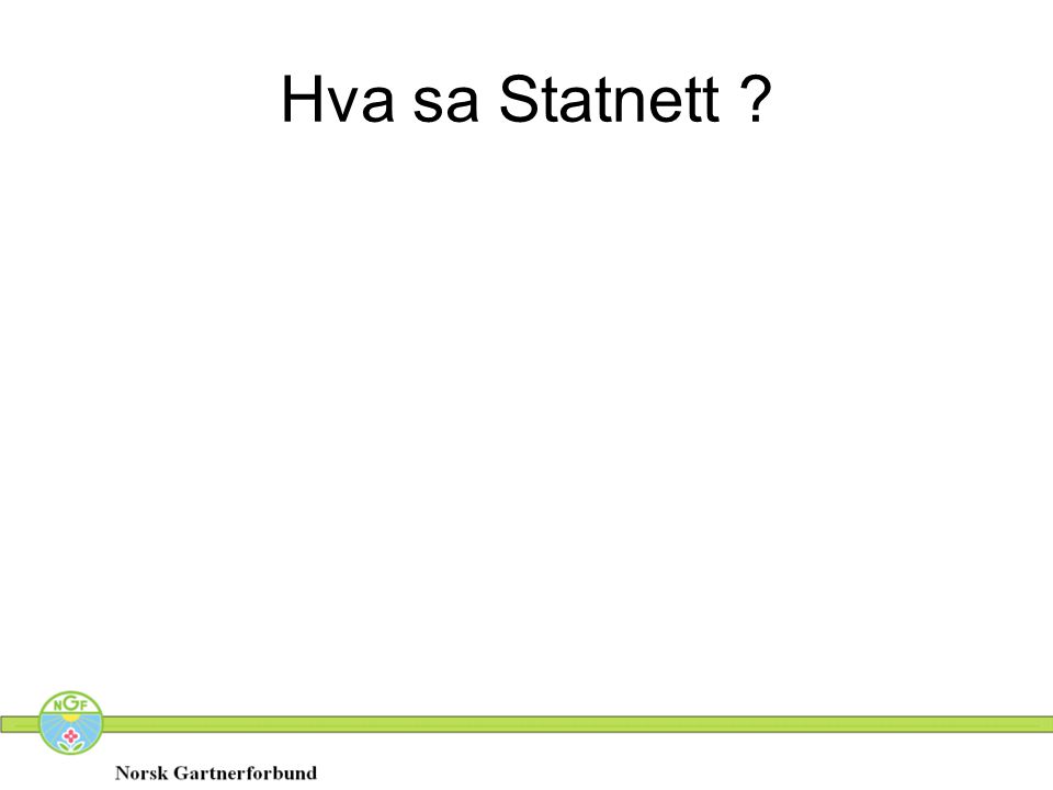 Hva sa Statnett