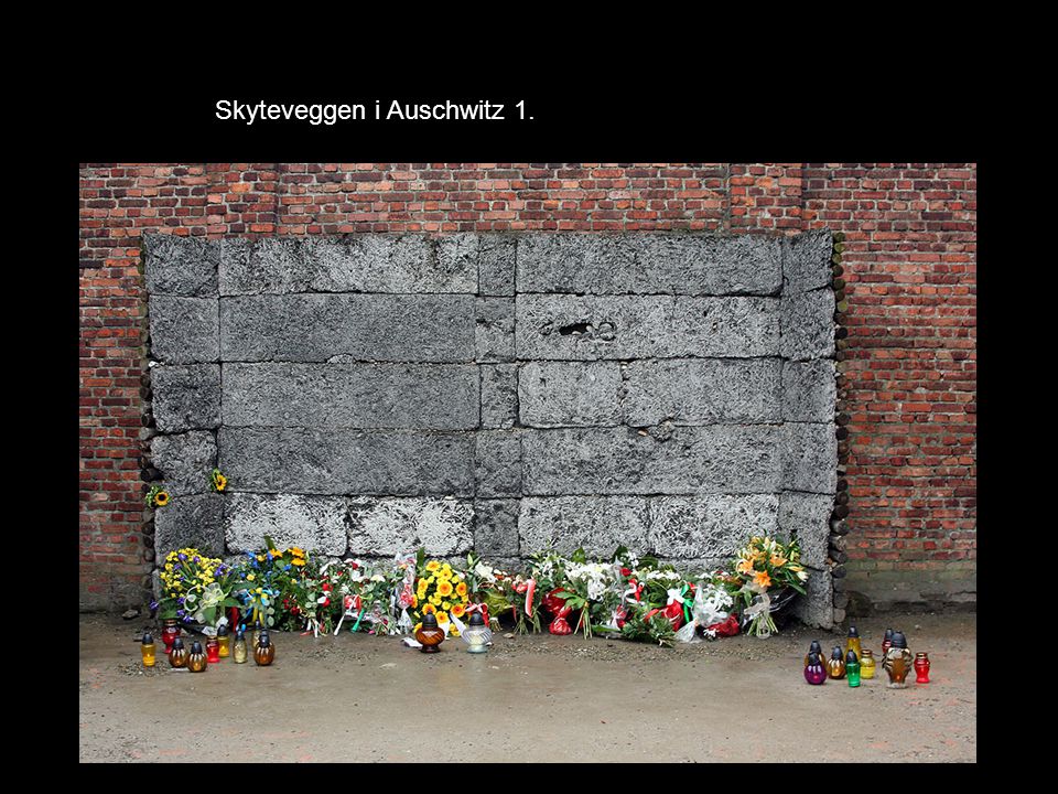 Skyteveggen i Auschwitz 1.