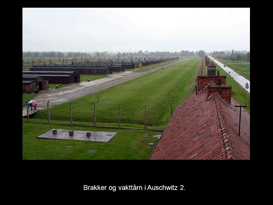 Brakker og vakttårn i Auschwitz 2.