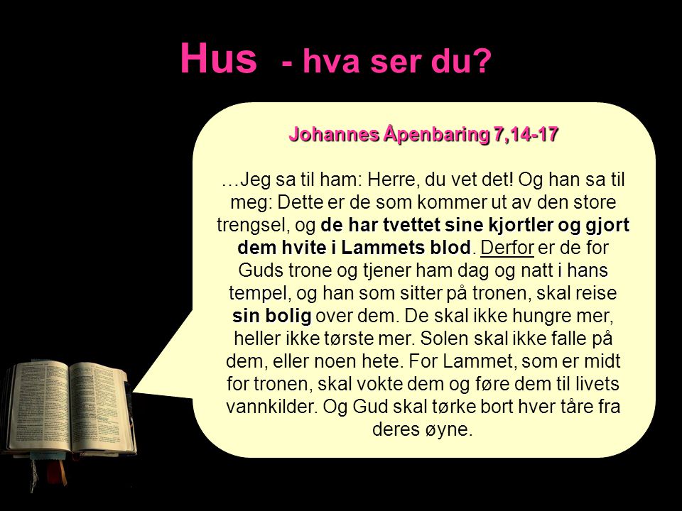 Hus - hva ser du Johannes Åpenbaring 7,14-17