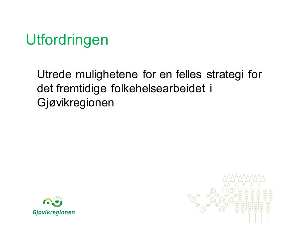Utfordringen Utrede mulighetene for en felles strategi for det fremtidige folkehelsearbeidet i Gjøvikregionen.
