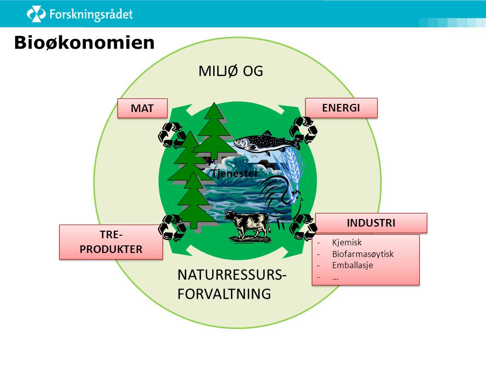 Bioøkonomien MILJØ OG NATURRESSURS- FORVALTNING MAT ENERGI Tjenester