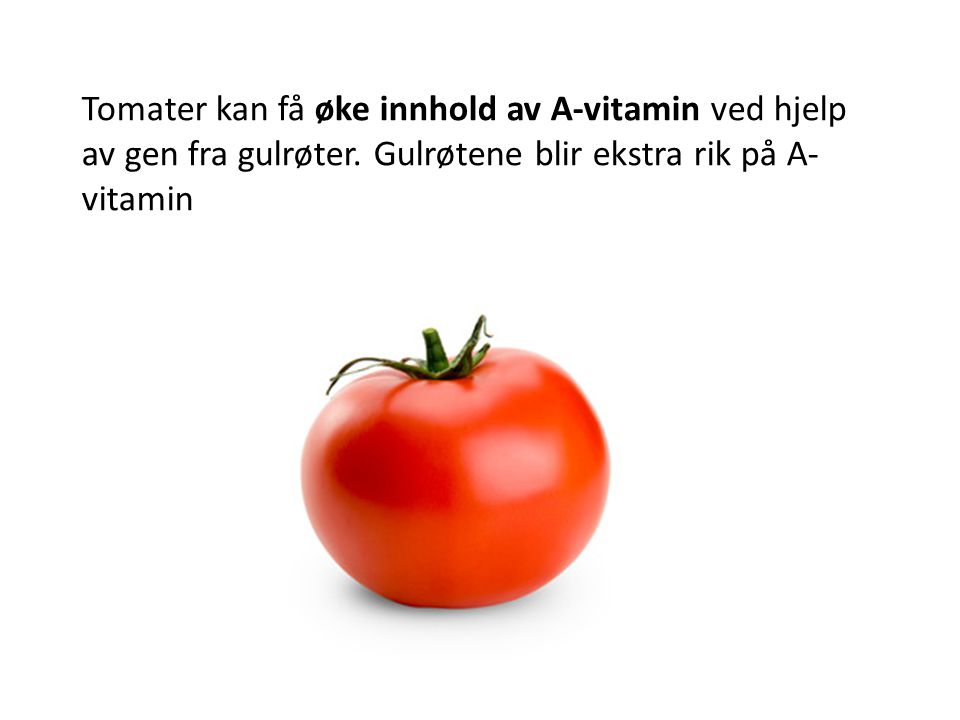 Tomater kan få øke innhold av A-vitamin ved hjelp av gen fra gulrøter