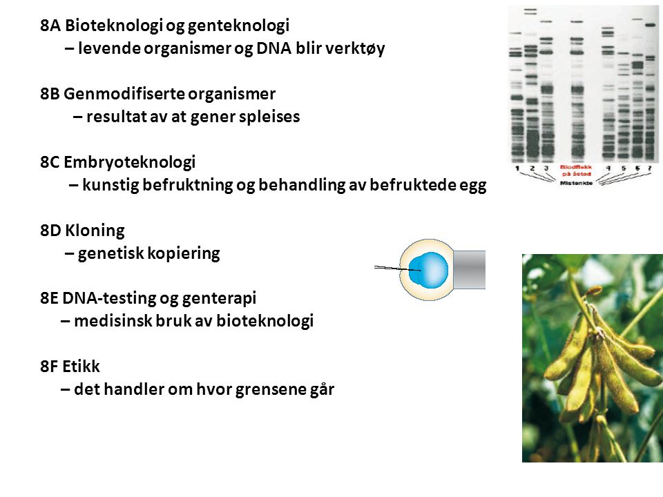 8A Bioteknologi og genteknologi