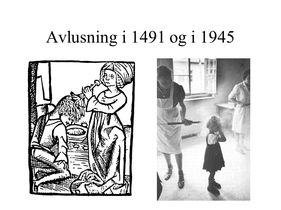 Avlusning i 1491 og i 1945