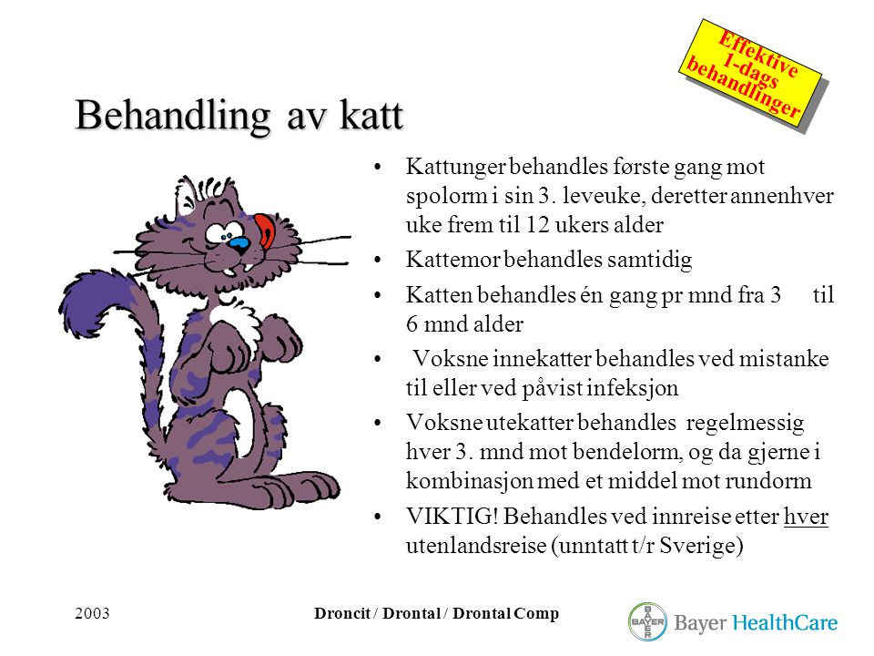 Behandling av katt Kattunger behandles første gang mot spolorm i sin 3. leveuke, deretter annenhver uke frem til 12 ukers alder.