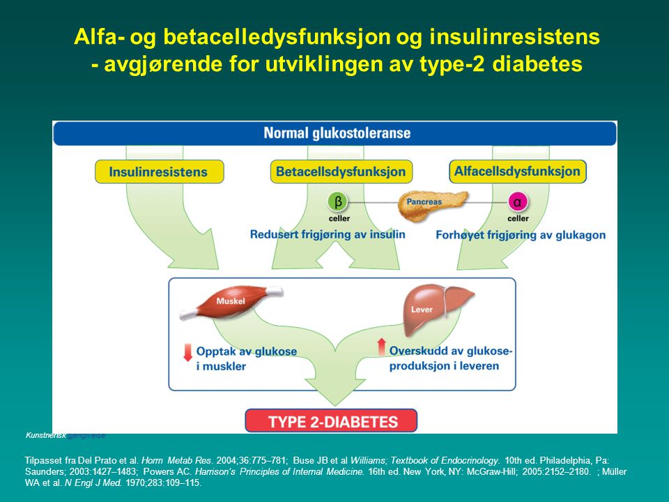 Alfa- og betacelledysfunksjon og insulinresistens