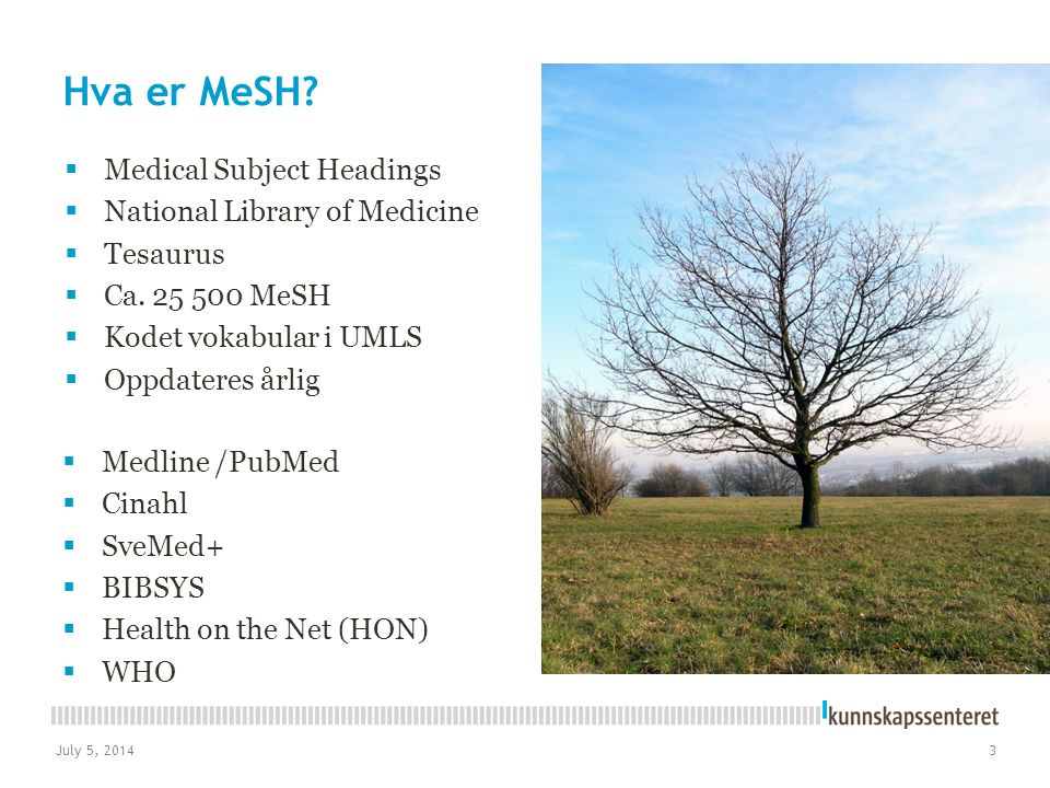 Hva er MeSH Medical Subject Headings National Library of Medicine