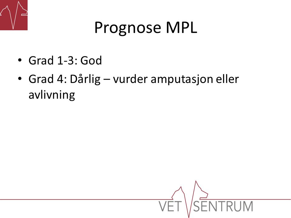 Prognose MPL Grad 1-3: God