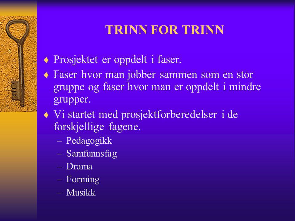 TRINN FOR TRINN Prosjektet er oppdelt i faser.