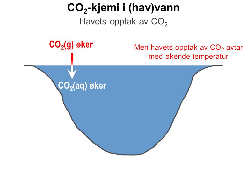 Men havets opptak av CO2 avtar med økende temperatur