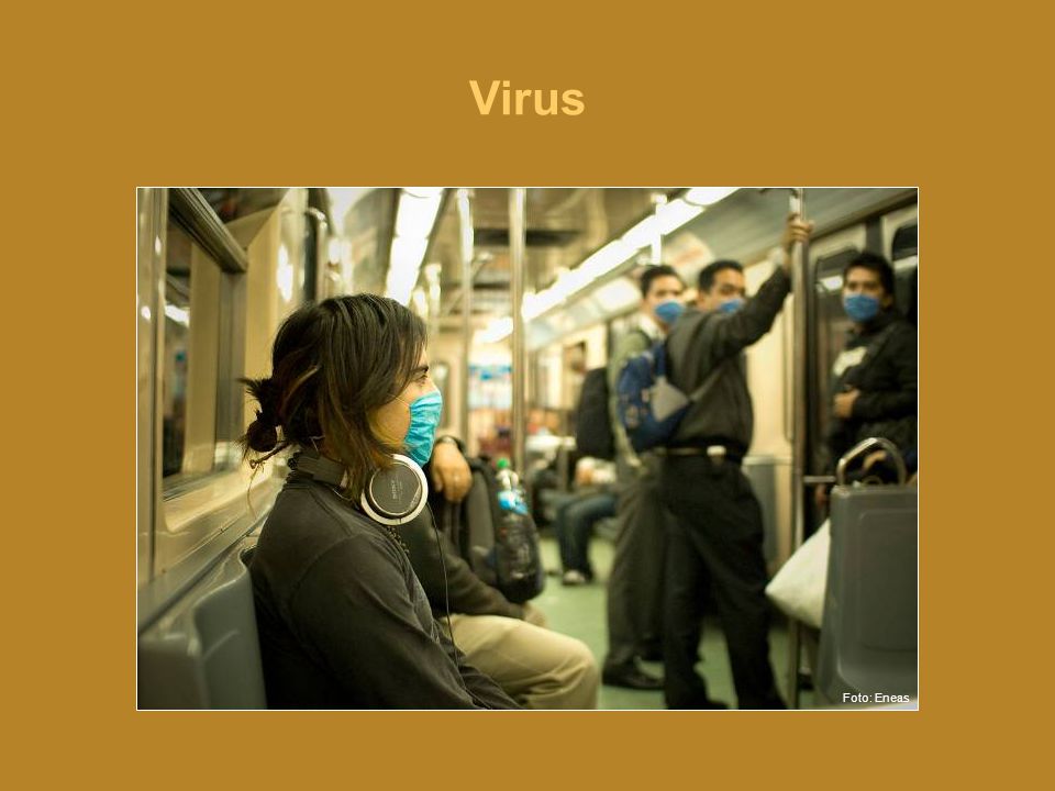 Virus Foto: Eneas