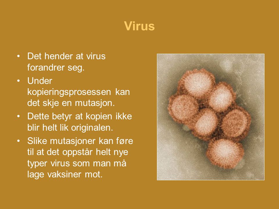 Virus Det hender at virus forandrer seg.