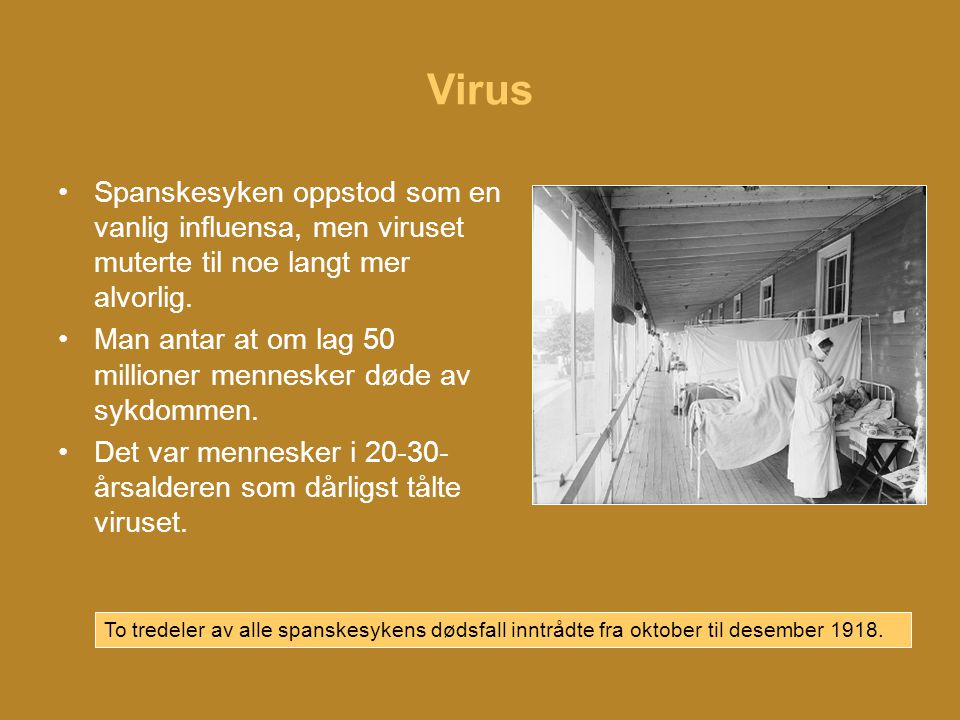 Virus Spanskesyken oppstod som en vanlig influensa, men viruset muterte til noe langt mer alvorlig.