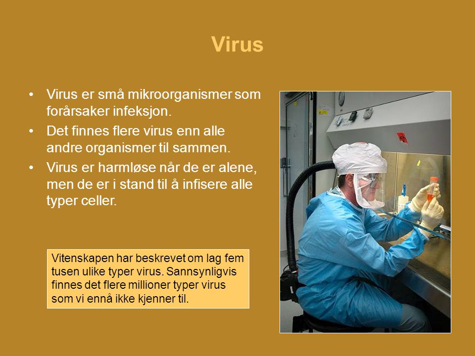 Virus Virus er små mikroorganismer som forårsaker infeksjon.