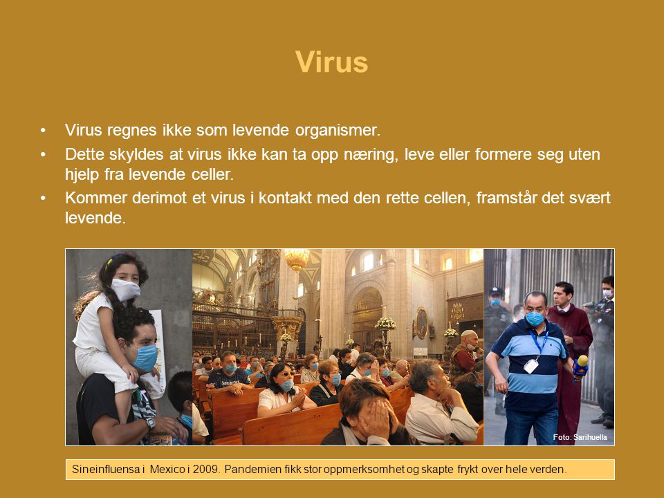 Virus Virus regnes ikke som levende organismer.