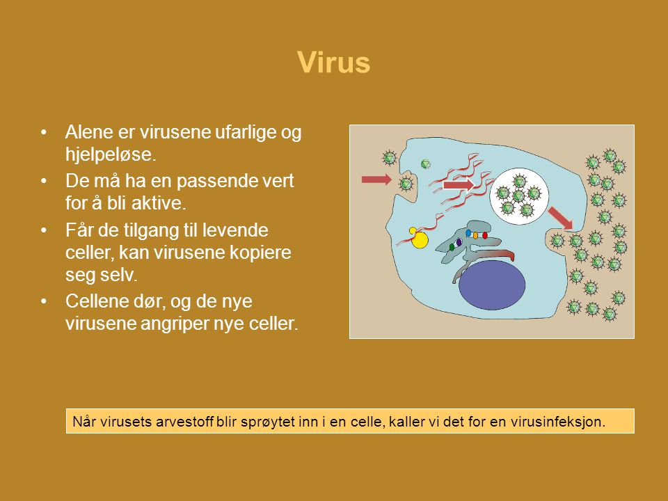 Virus Alene er virusene ufarlige og hjelpeløse.