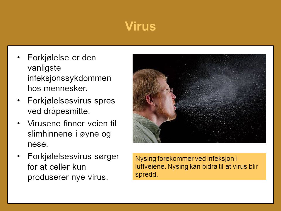 Virus Forkjølelse er den vanligste infeksjonssykdommen hos mennesker.