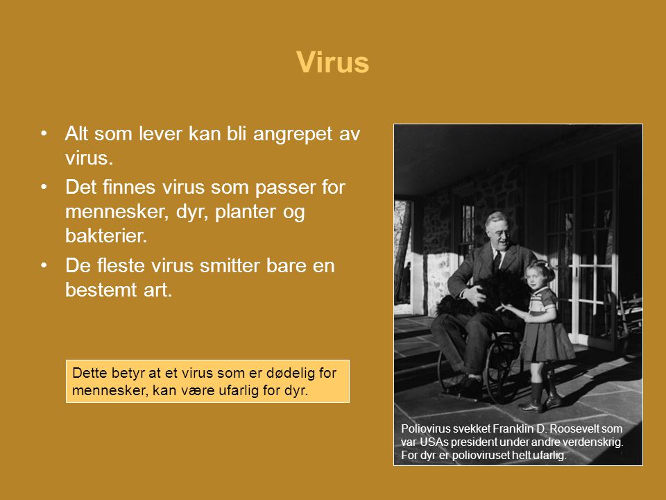 Virus Alt som lever kan bli angrepet av virus.