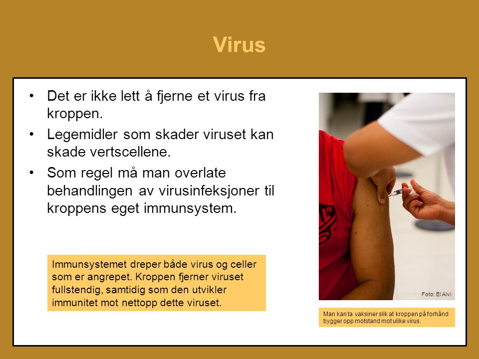 Virus Det er ikke lett å fjerne et virus fra kroppen.