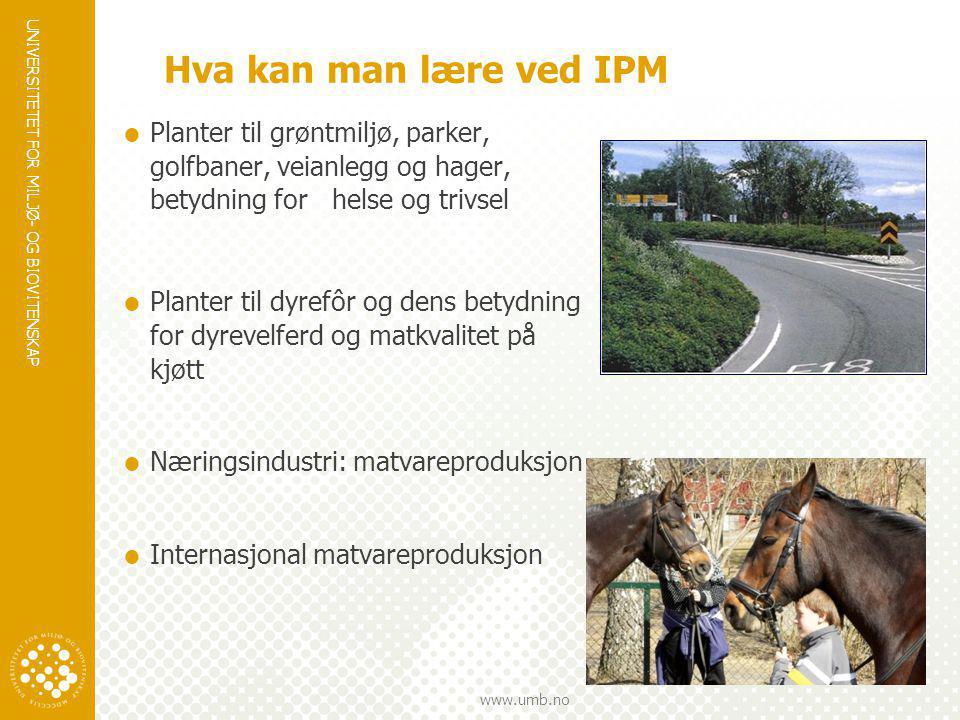 Hva kan man lære ved IPM Planter til grøntmiljø, parker, golfbaner, veianlegg og hager, betydning for helse og trivsel.