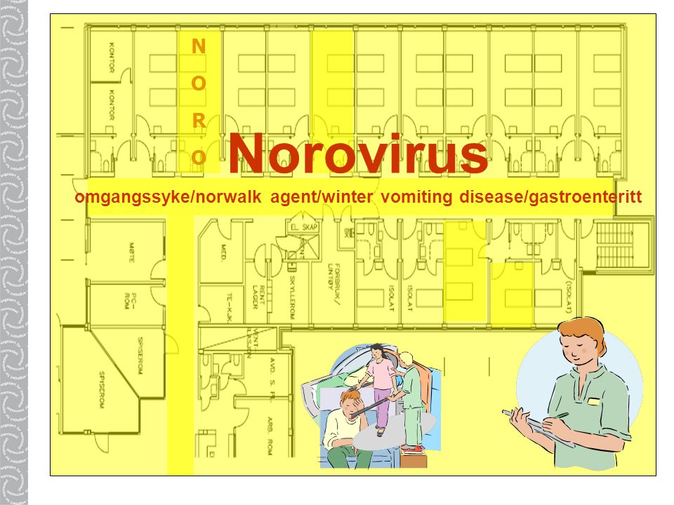 omgangssyke/norwalk agent/winter vomiting disease/gastroenteritt