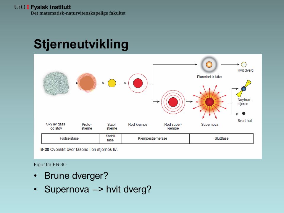 Stjerneutvikling Brune dverger Supernova –> hvit dverg