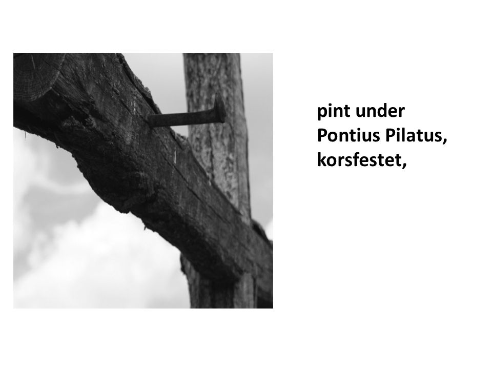 pint under Pontius Pilatus,