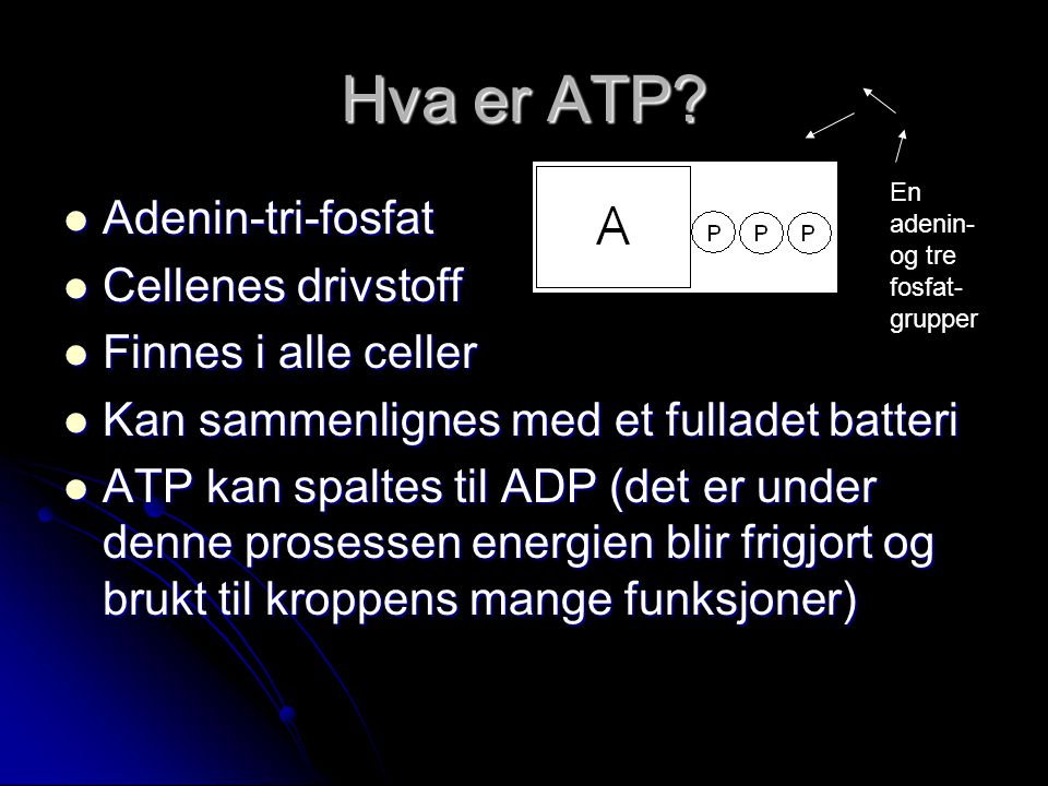 Hva er ATP Adenin-tri-fosfat Cellenes drivstoff Finnes i alle celler