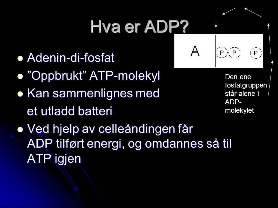 Hva er ADP Adenin-di-fosfat Oppbrukt ATP-molekyl