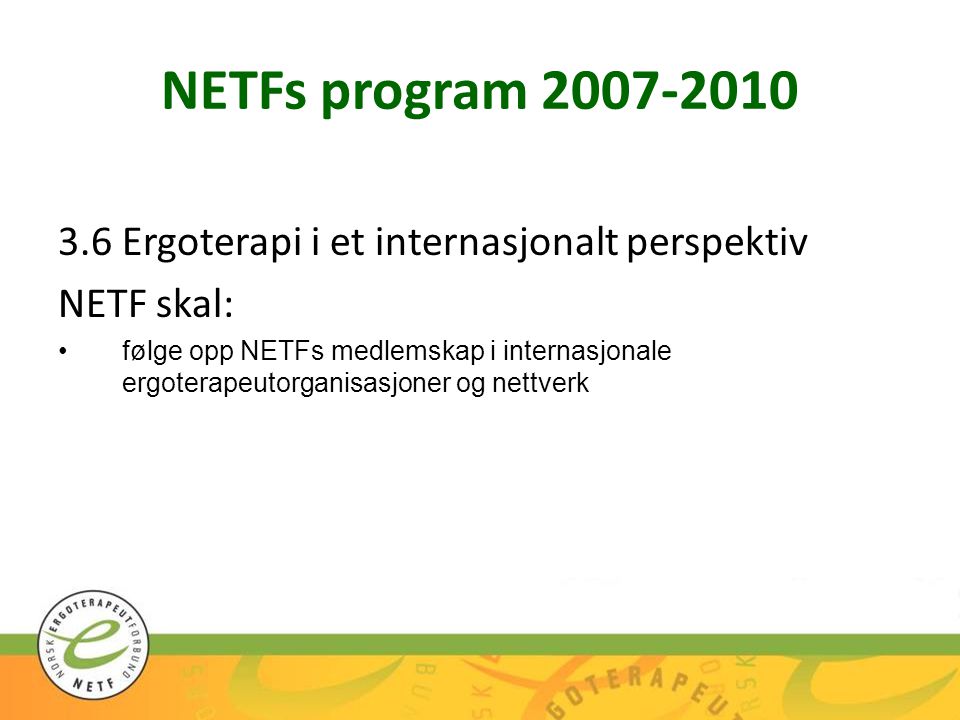 NETFs program Ergoterapi i et internasjonalt perspektiv