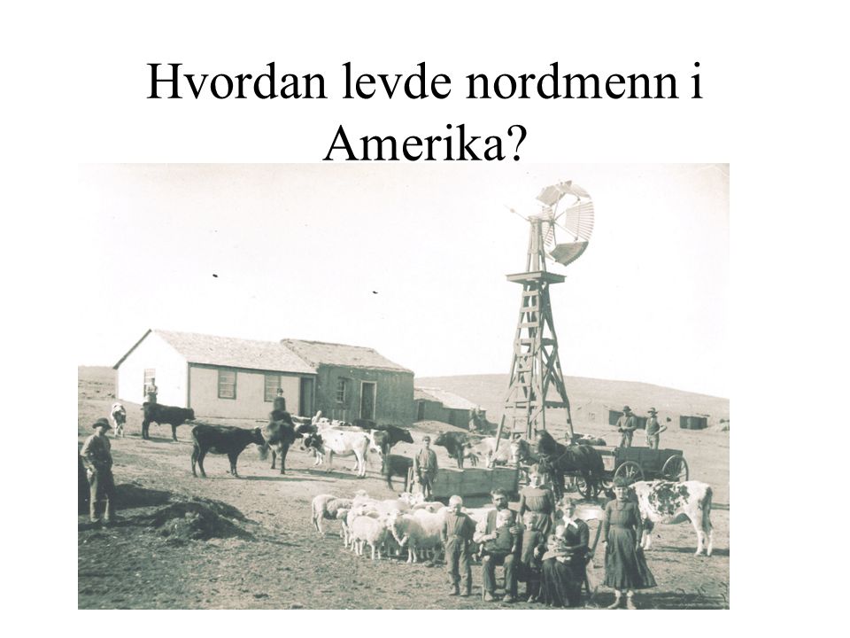 Hvordan levde nordmenn i Amerika
