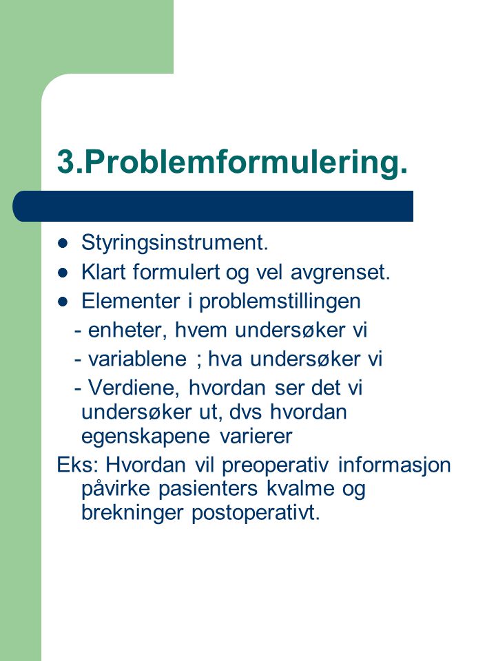 3.Problemformulering. Styringsinstrument.