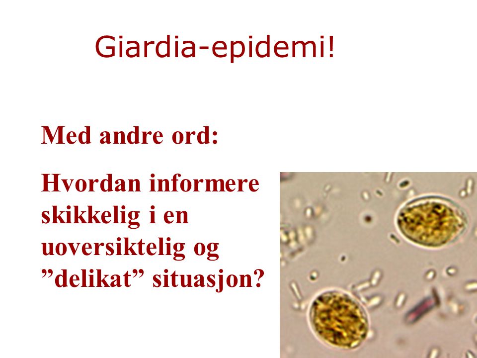 Giardia-epidemi! Med andre ord: