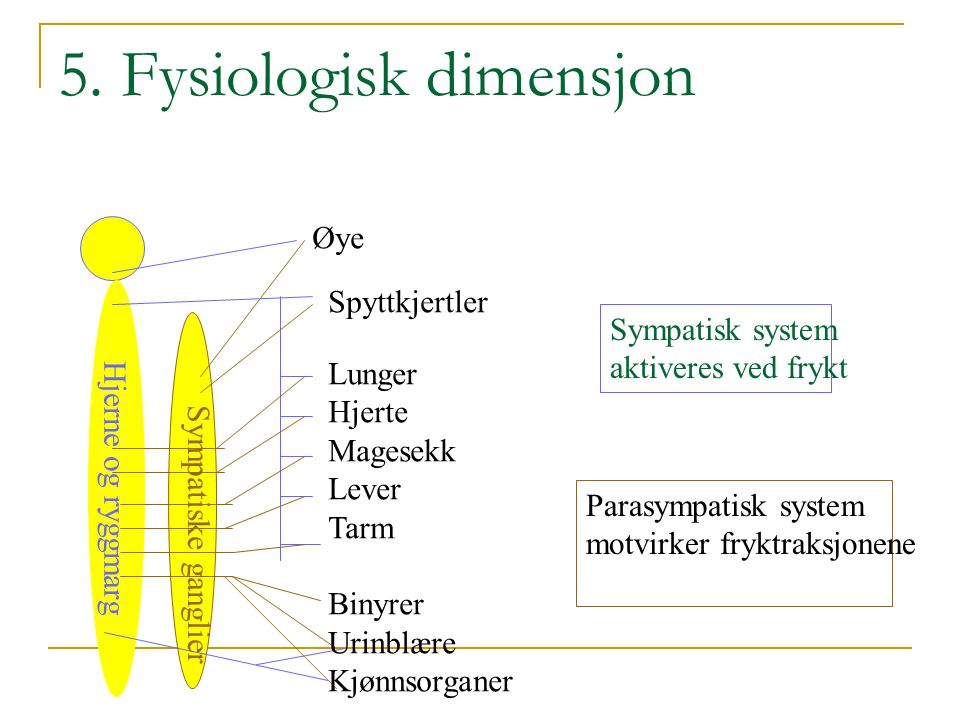 5. Fysiologisk dimensjon
