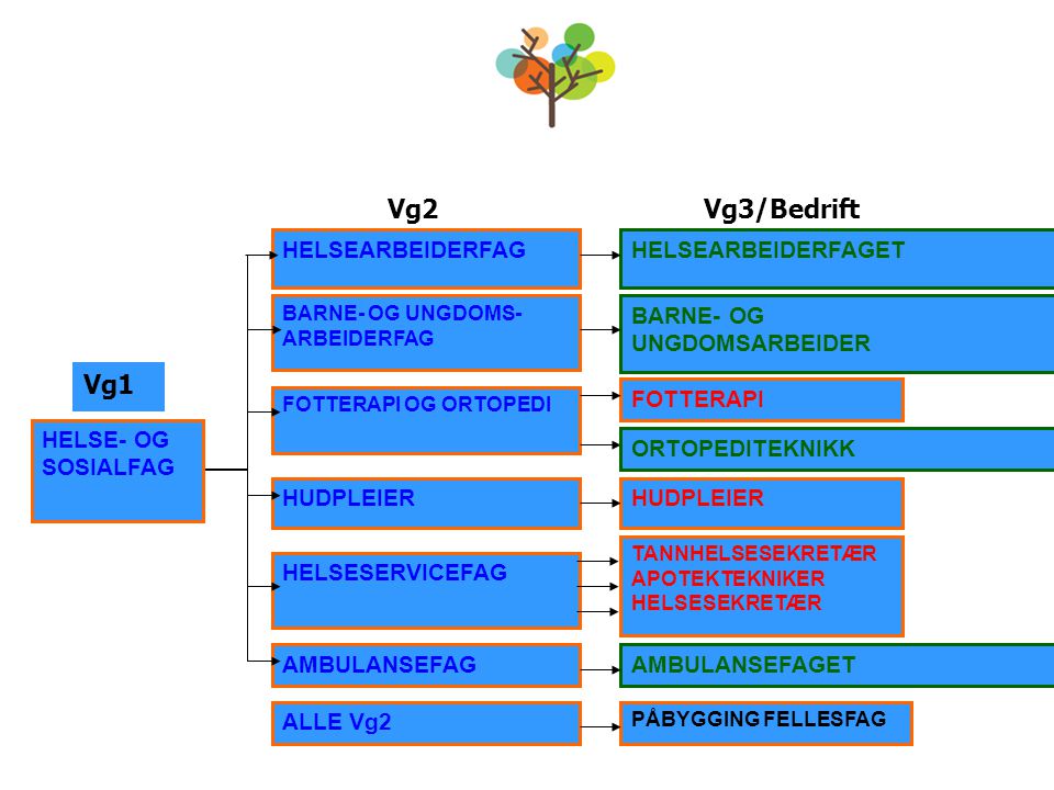Vg2 Vg3/Bedrift Vg1 HELSEARBEIDERFAG HELSEARBEIDERFAGET BARNE- OG